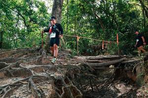 BIB: 
                            <button type="button" onclick="openModal(27800328)" class="btn btn-primary btn-sm float-right btn-popup" data-toggle="modal" data-target=".modal-high-quality">
                        <i class="fas fa-shopping-cart"></i> Add to Cart
                    </button>
                                            <button type="button" onclick="isThisMe(27800328, true)" class="btn btn-success btn-sm float-right btn-popup btn-isme hidden" data-toggle="tooltip" data-placement="bottom" title="นี่คือรูปของคุณใช่ไหม คลิกที่นี่เพื่อเอาเข้าอัลบั้ม">
                        <i class="fas fa-plus"></i> Add to album
                    </button>
                    <button type="button" onclick="isThisMe(27800328, false)" class="btn btn-warning btn-sm float-right btn-popup btn-isnotme hidden">
                        <i class="fas fa-ban"></i> Remove from album
                    </button>